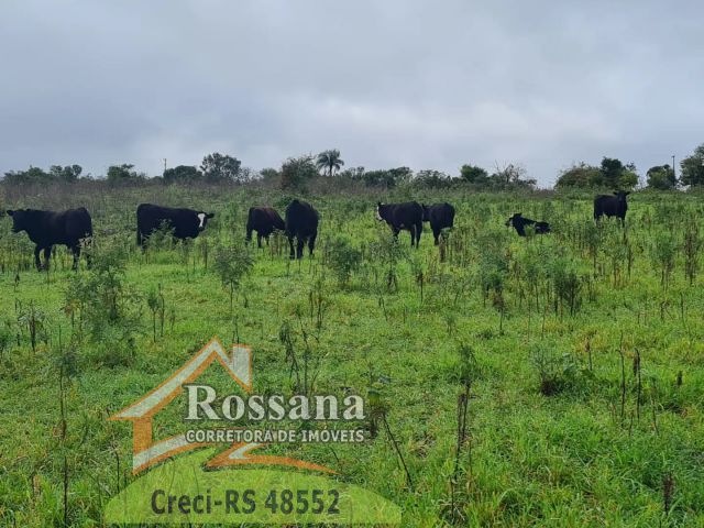 Área de Terras para Venda  São Francisco de Assis