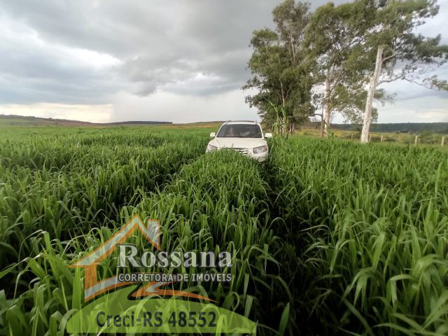 Área de Terras para Venda  São Francisco de Assis